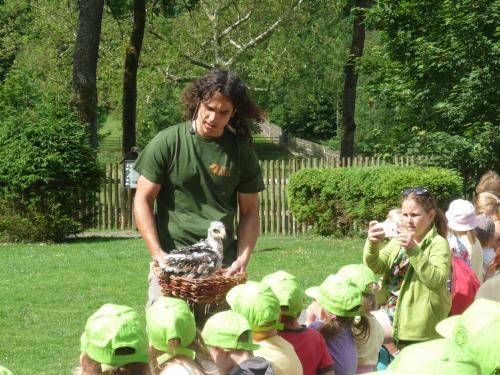 VÝLET- ZÁMEK ŽLEBY