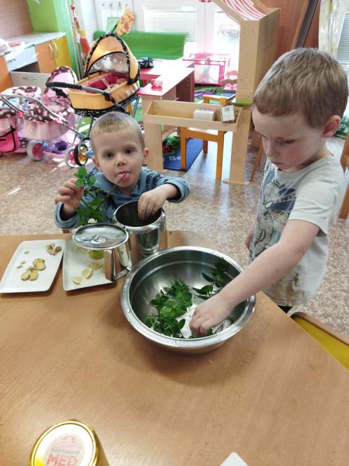 MEDVÍDKOVÉ SI VAŘÍ BYLINKOVÝ ČAJ 