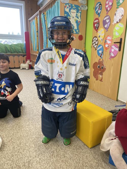 VEVERKY NA DEN HOKEJISTY 