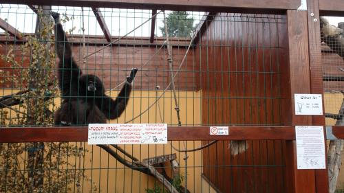 MINIZOO BÍTOVANY