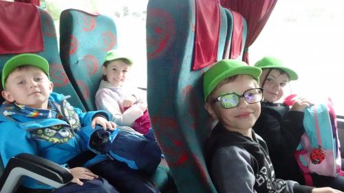 Plamínek Veverky a Méďové