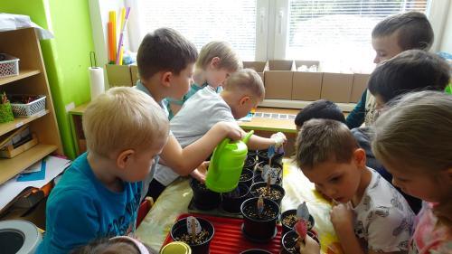 ZASAZENÍ VELIKONOČNÍHO OSENÍ - VEVERKY